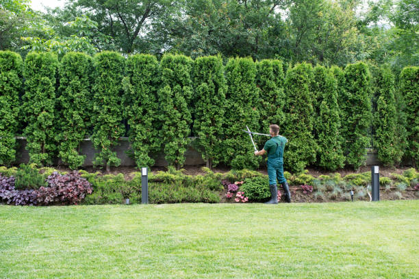 Best Lawn Irrigation Installation and Maintenance  in Wilmington, DE